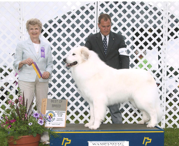 GCh. Calanta Pyristamo