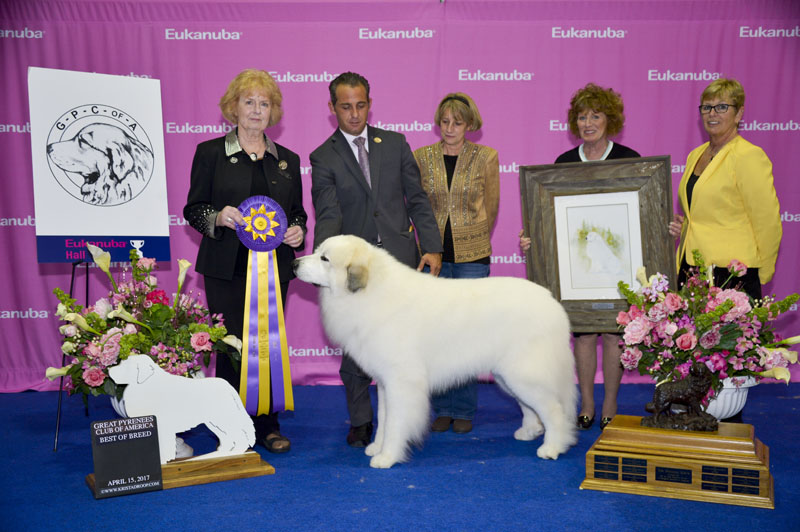 brynjulf great pyrenees