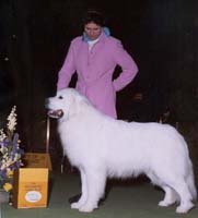 CH. PYRLESS PRIME MINISTER