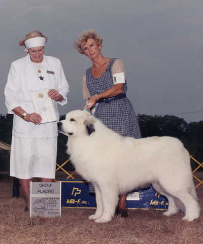 brynjulf great pyrenees