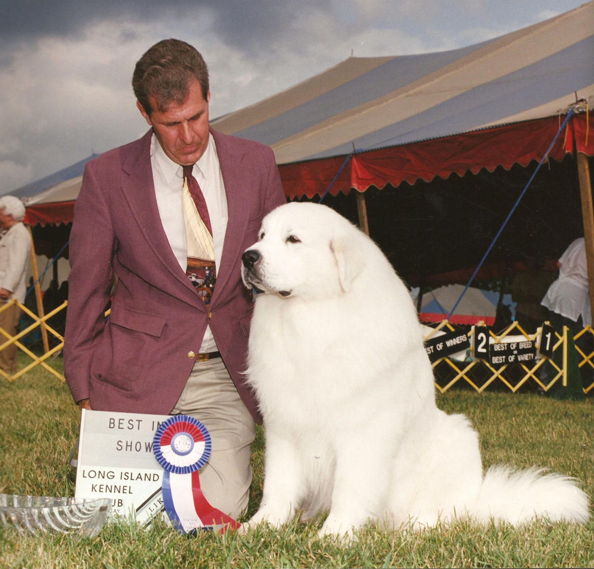 brynjulf great pyrenees